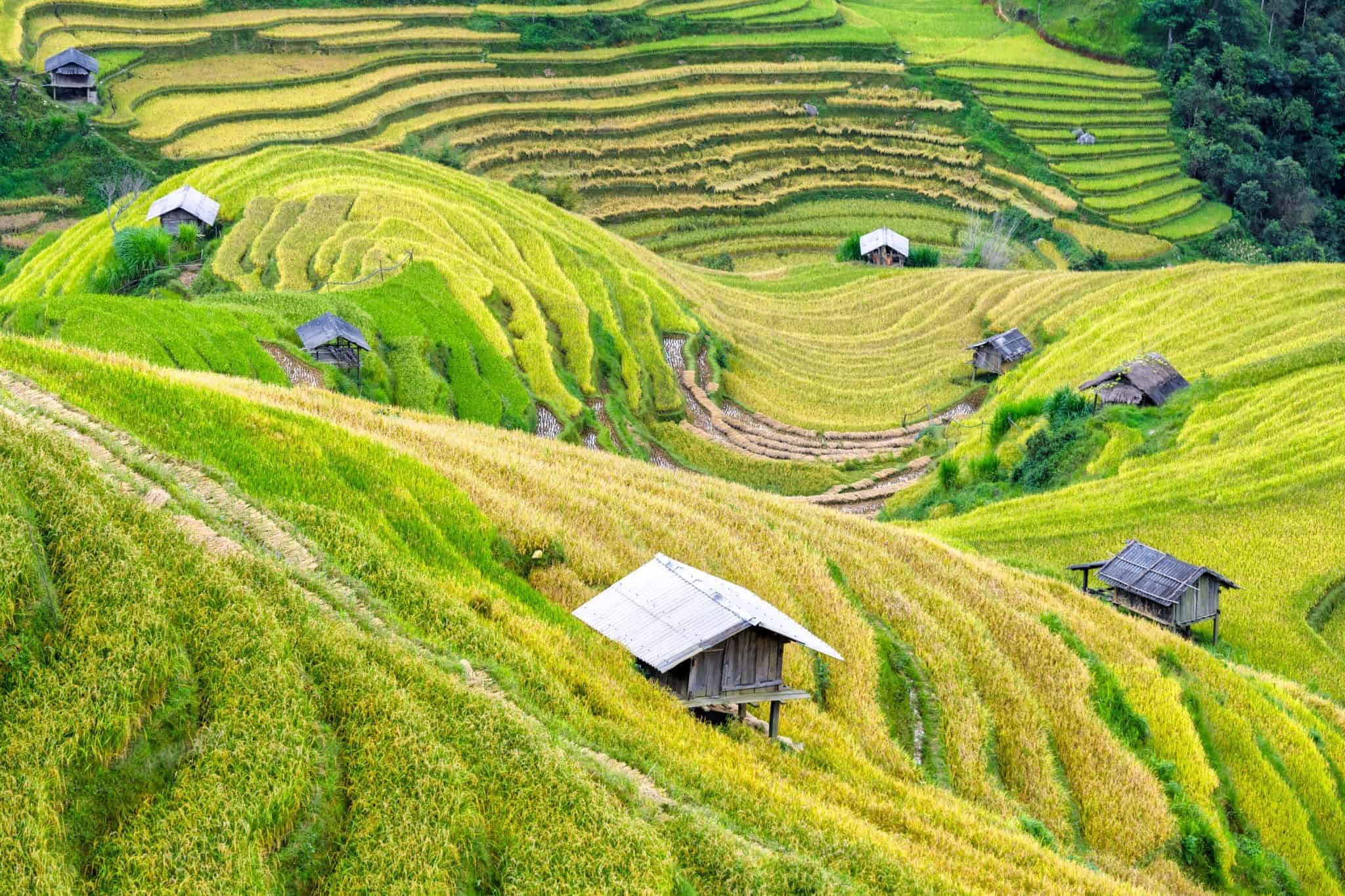 Travel Each Region — Vietnam dental tourism